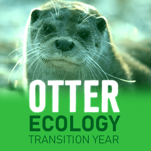 Otter Ecology – Transition Year